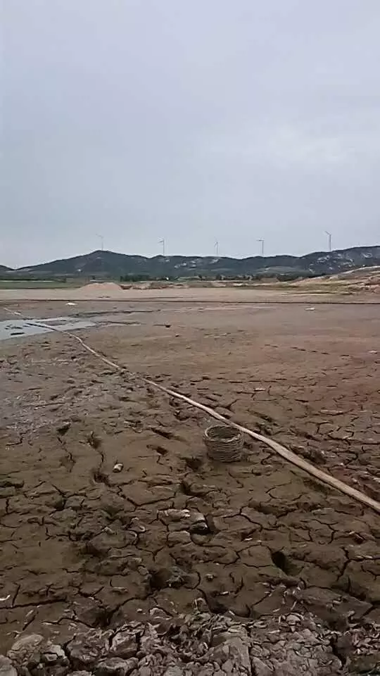 青島河床干涸----沃富新能源中央空調--沃富環保空調